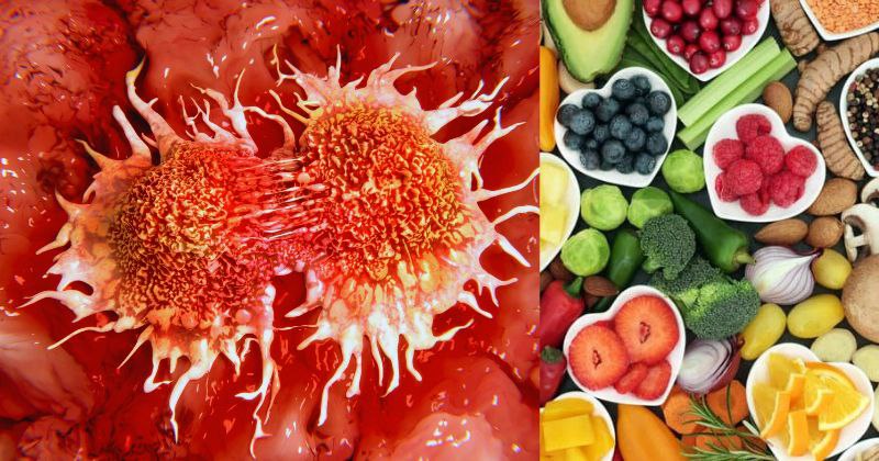 Aliments Anticancéreux : Comment la Nutrition peut Renforcer la Prévention