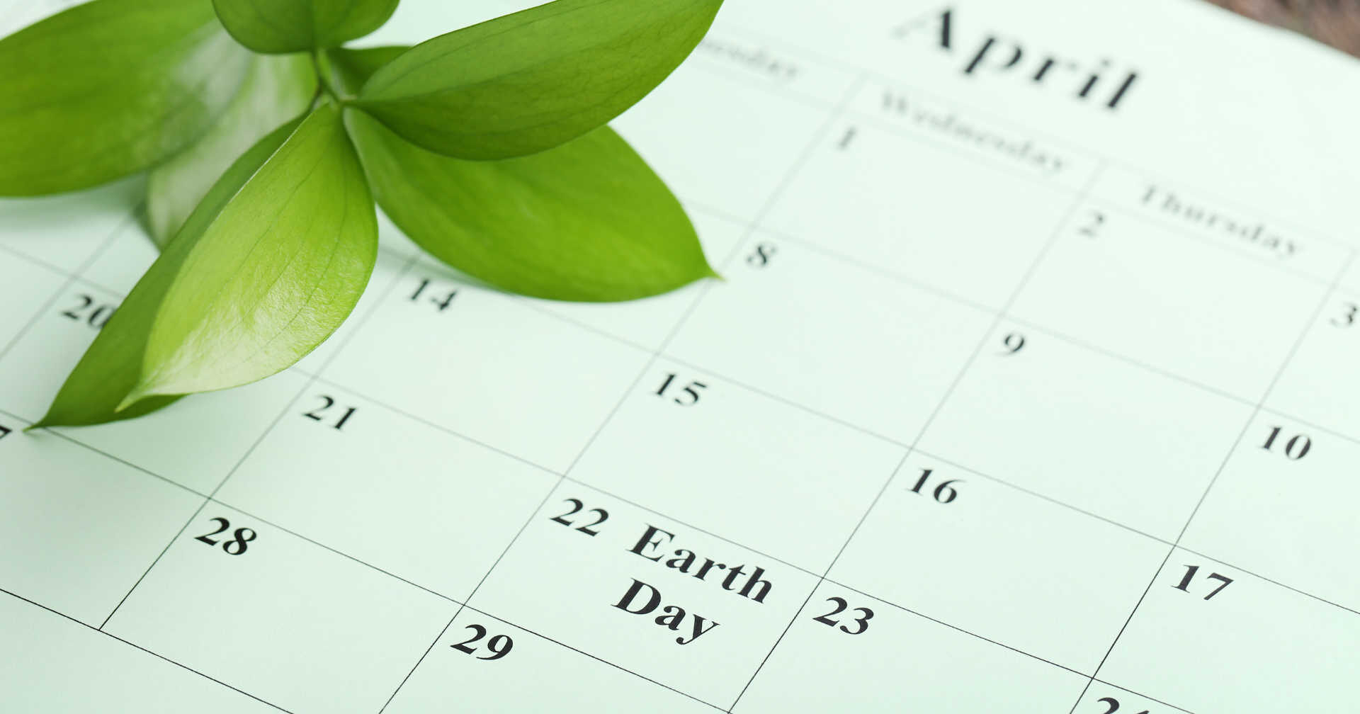 Calendrier de plantation des légumes : guide pratique pour jardiniers québécois et canadiens