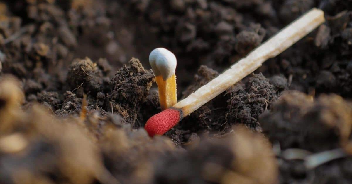 Cette astuce des allumettes en pot fonctionne-t-elle vraiment ?