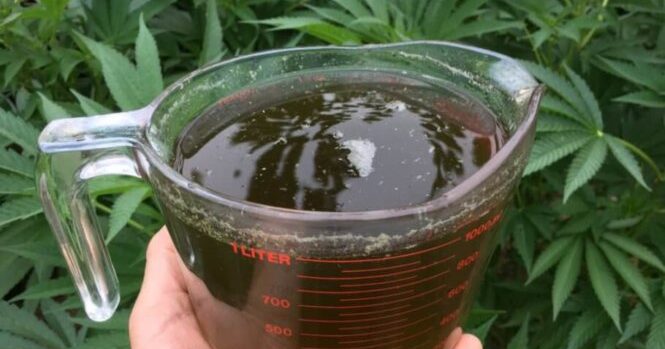 Comment réaliser un engrais naturel fait maison ?