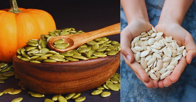 Graines de Courge : Un Super-Aliment aux Multiples Vertus