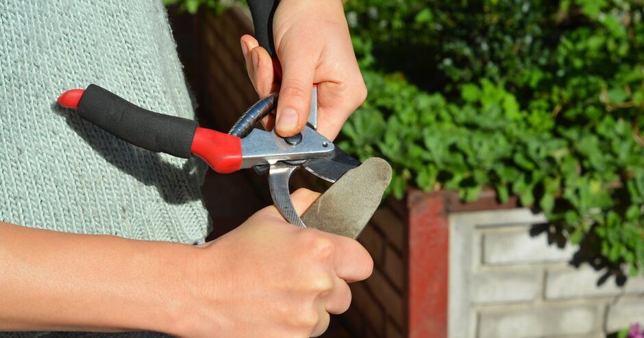 Guide : Comment affûter votre sécateur pour des coupes nettes et précises​