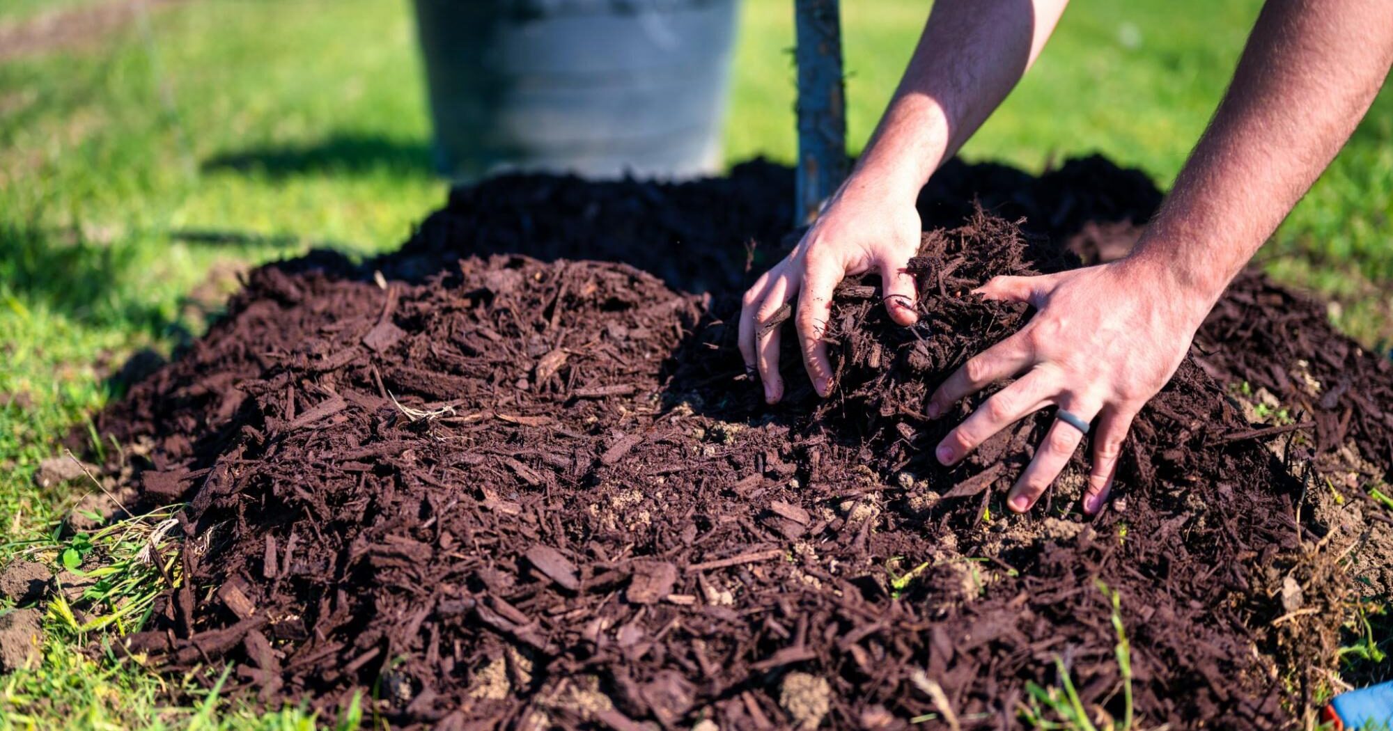 Le secret d’un sol de jardin exceptionnel