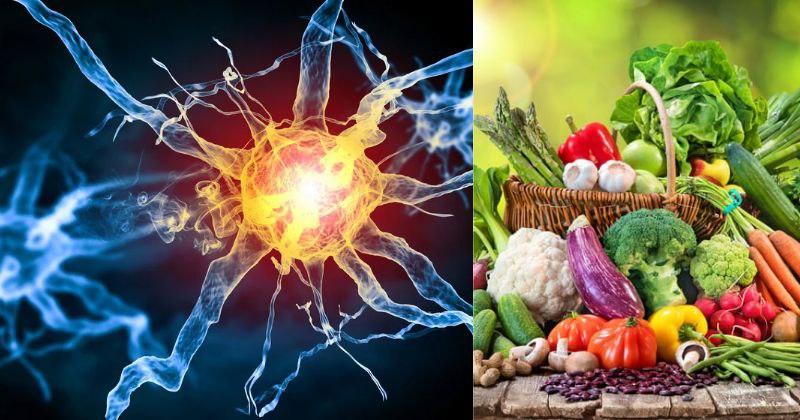 Nutrition et Hormones : L’Impact de l’Alimentation sur Notre Équilibre Hormonal