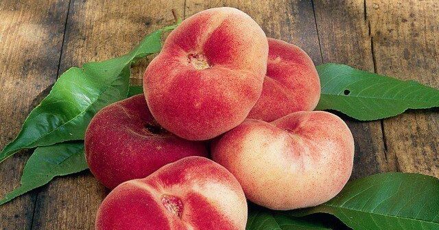 Pêcher plat : Le fruit étoile des vergers modernes