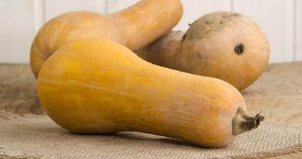 Planter les Courges en Pots : Guide Complet pour Réussir à la Maison