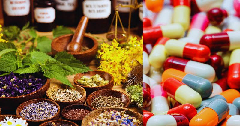 Quand la Nature Remplace la Pharmacie : Remèdes Simples, Effets Puissants