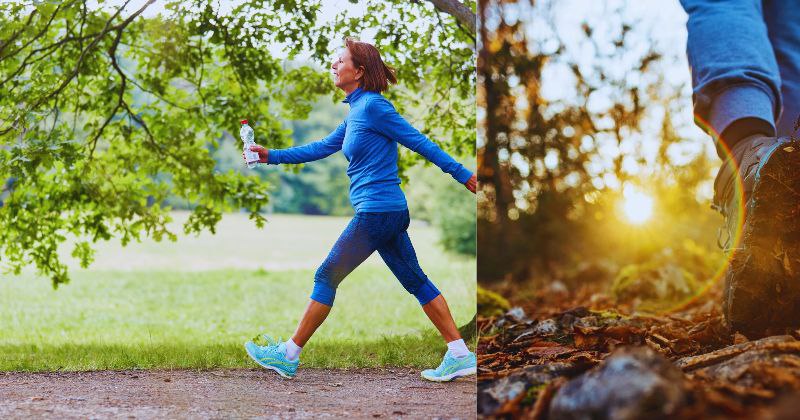 Reconnexion à la Nature : Pourquoi Marcher en Forêt Change Tout