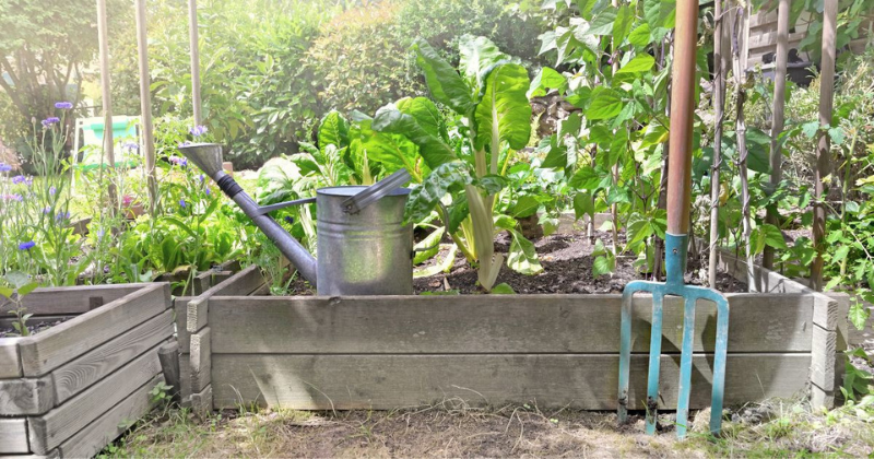 10 Astuces de Jardinage Simples (du Débutant au Professionnel)