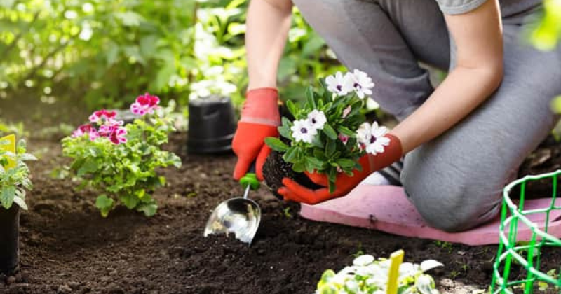 10 tendances de jardin à surveiller en 2025 .