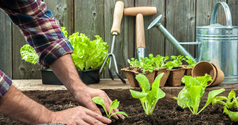 15 erreurs de jardinier débutant à éviter