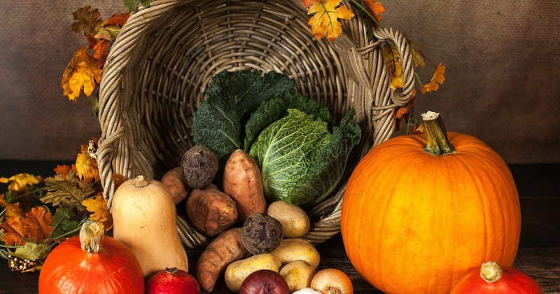 5 meilleures variétés de légumes pour votre jardin printanier