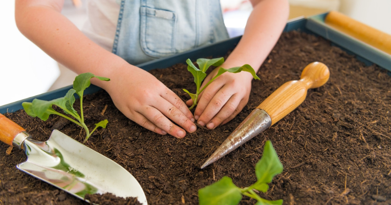 6 conseils pratiques pour économiser de l’argent sur les plantes de votre jardin .