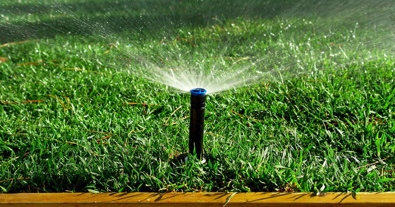 À quelle fréquence dois-je arroser mon jardin ? Conseils pour réussir l’arrosage