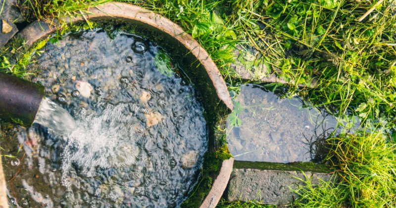 Comment Créer un Jardin de Pluie : une Solution Écologique et Élégante pour Gérer l’Eau Naturellement