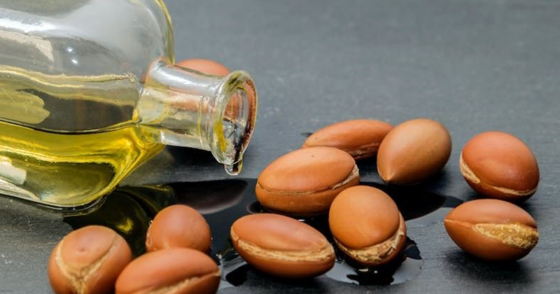 Comment Cultiver et Exploiter les 5 Bienfaits de l’Huile d’Argan dans Votre Jardin