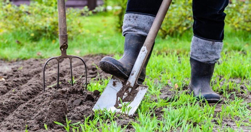 Comment commencer le jardinage sans labour