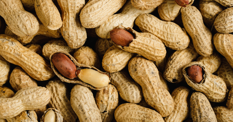 Comment cultiver des cacahuètes dans un jardin potager