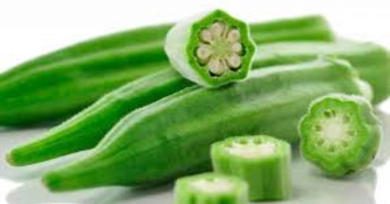 Comment cultiver votre propre gombo biologique
