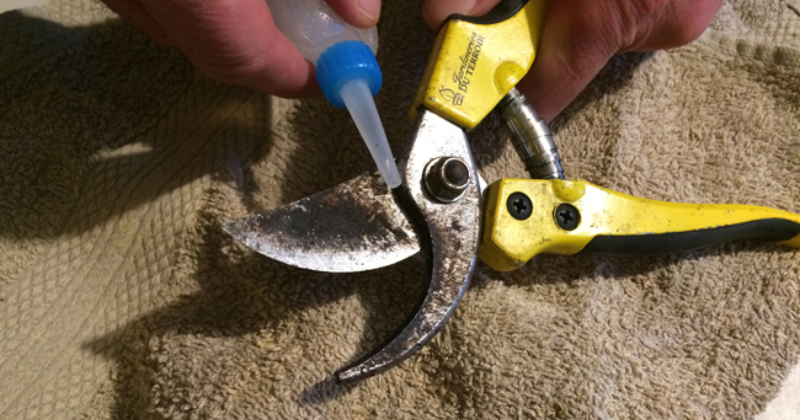 Comment désinfecter les outils de jardinage ?