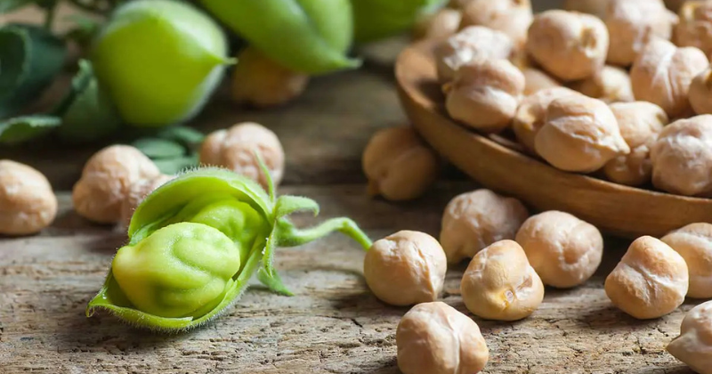 Comment faire pousser des pois chiches