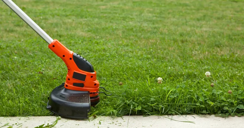 Couper les herbes : les conseils les plus importants
