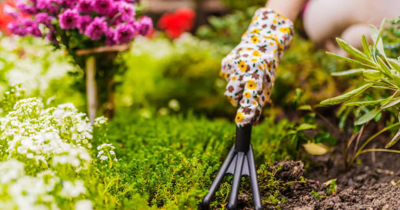 Essayez ce plan de jardin supplémentaire au début du printemps