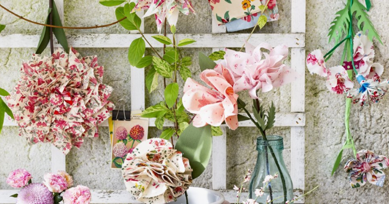 Fleurs éternelles : maîtriser le kalanchoé pour une couleur toute l’année dans votre maison