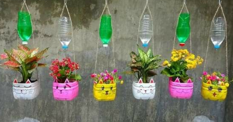 La méthode parfaite pour arroser les plantes pendant les vacances : jardins et plantes en pot