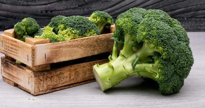 Le meilleur espacement des plants de brocoli pour des rendements élevés