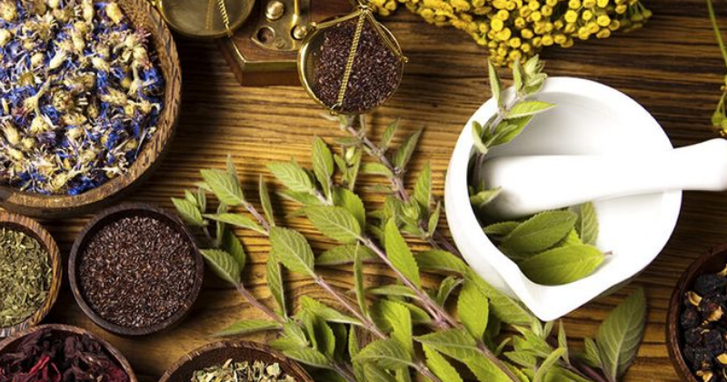 Les Plantes Médicinales pour Votre Bien-être : Guide Pratique et Conseils d’Usage