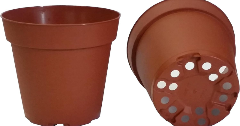 Les jardiniers astucieux conservent leurs pots en plastique : 10 raisons incontournables !