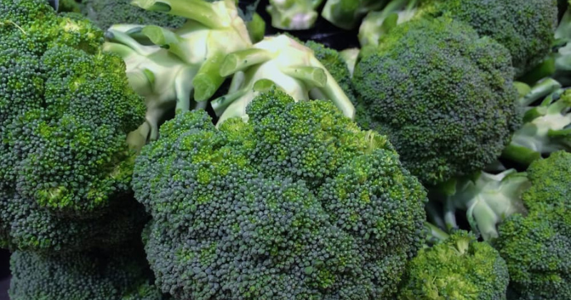 Les meilleures (et les pires) plantes compagnes pour le brocoli