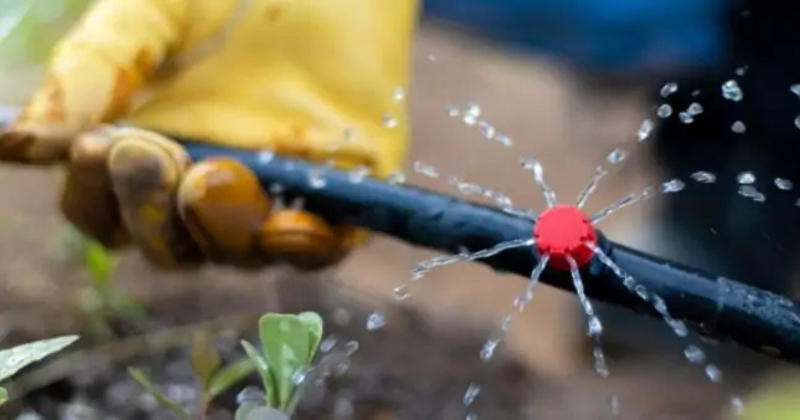Méthodes gratuites de mise en place de l’irrigation au goutte-à-goutte
