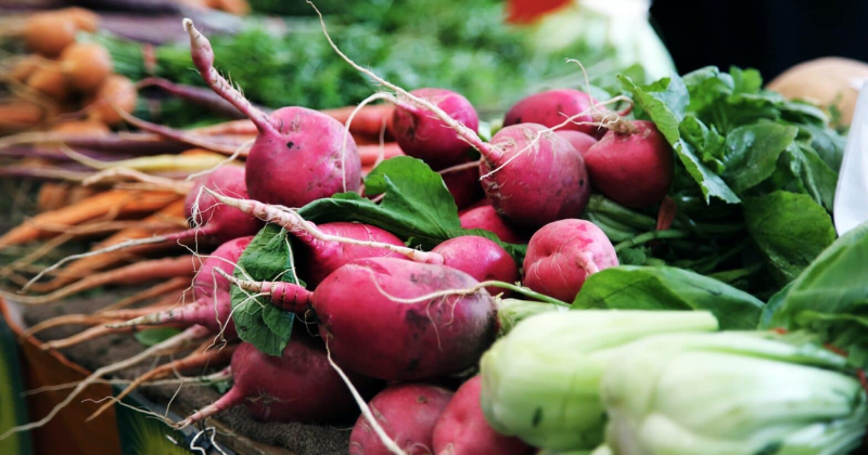 Plantez des légumes à croissance rapide pour une récolte maison en six semaines ou moins