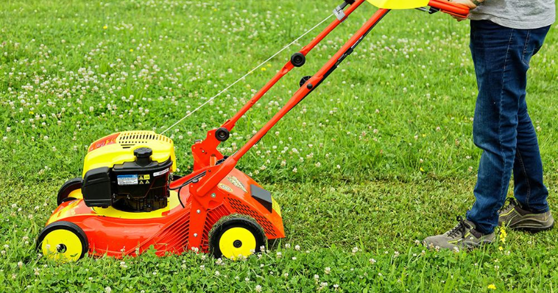 Tondeuses Mulching : Tonte de Pelouse sans Bac de Ramassage