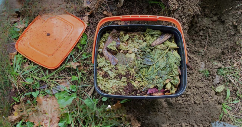 Transformez les feuilles d’automne en compost riche en nutriments pour votre jardin .