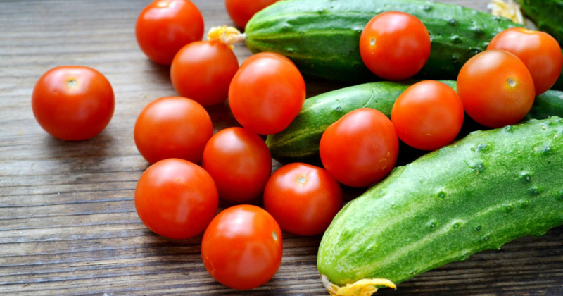 Vaporisez ce liquide sur les feuilles de concombres et de tomates – elles cessent de jaunir