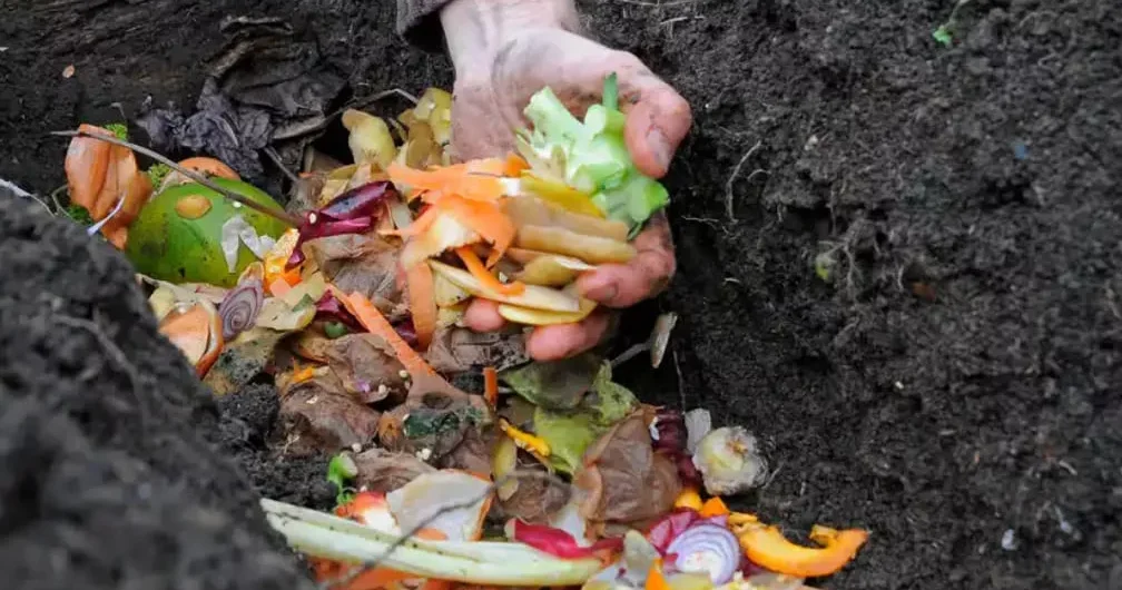 Le compostage en tranchée : une méthode simple et efficace
